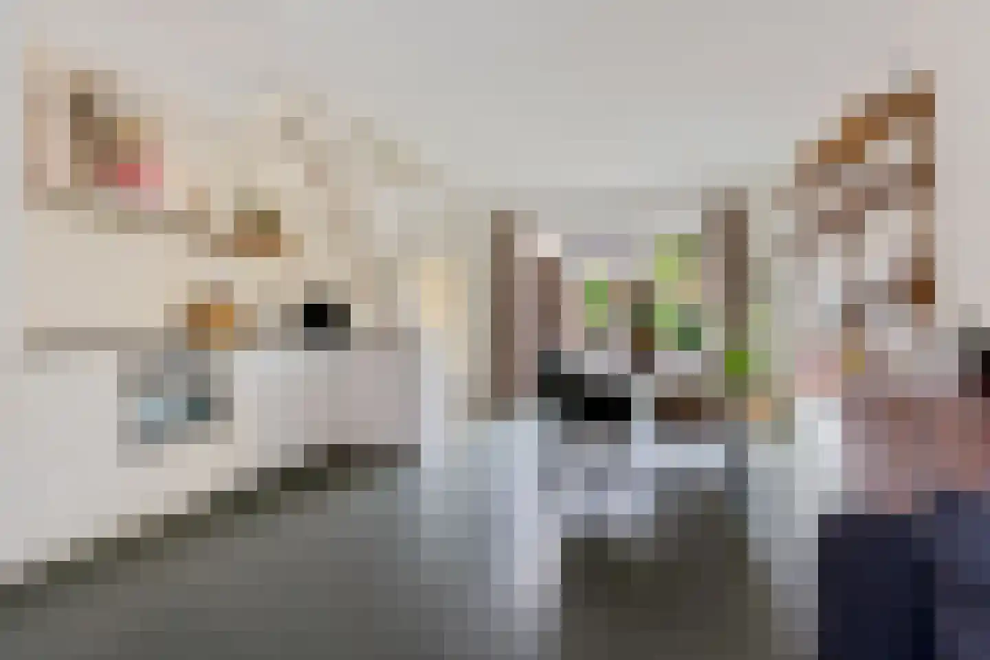 Graspad 7 Groningen thumbnail 8