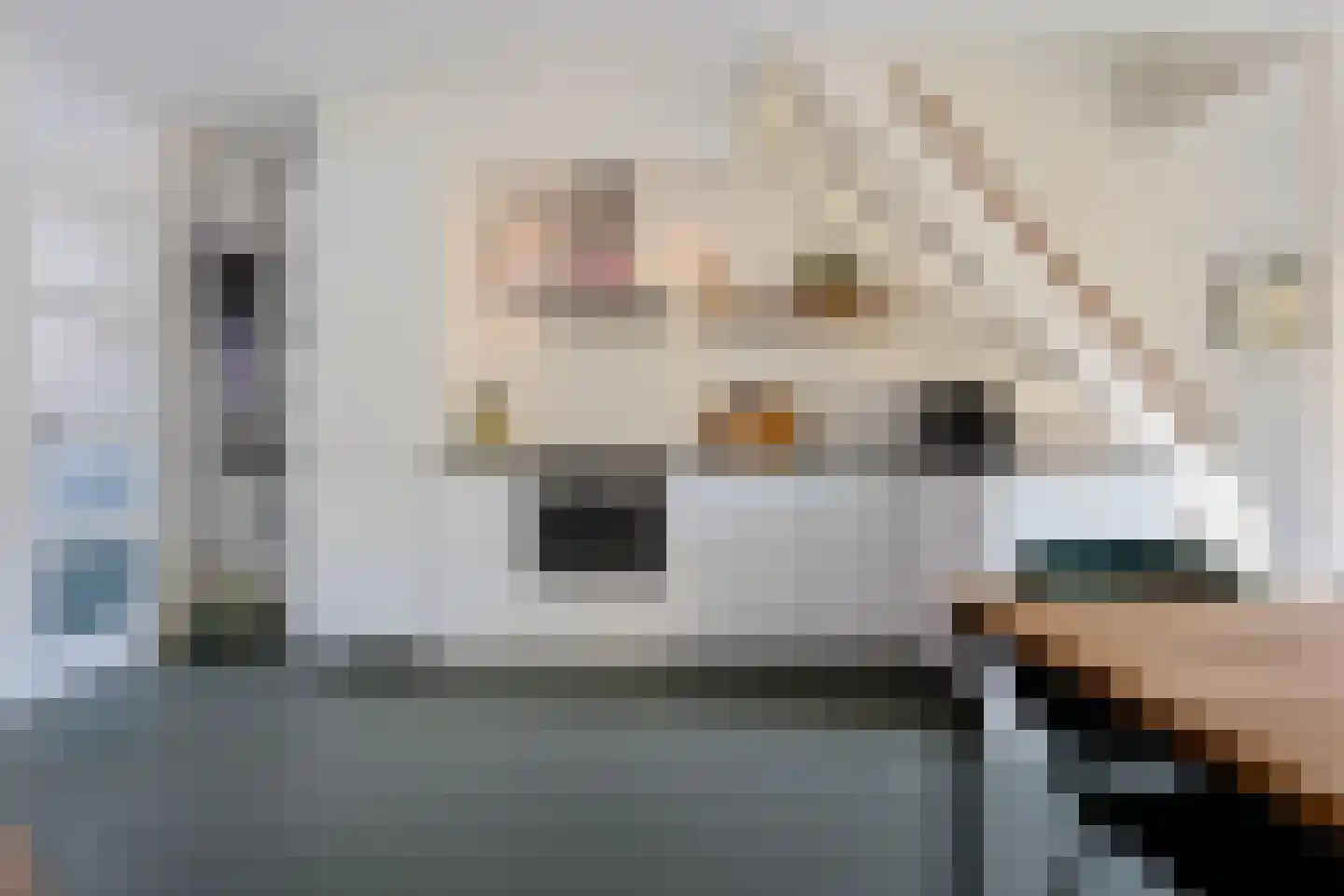 Graspad 7 Groningen thumbnail 9
