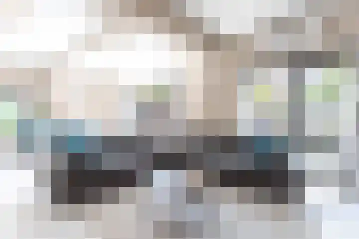 Grasparkiet 16 Eindhoven thumbnail 10