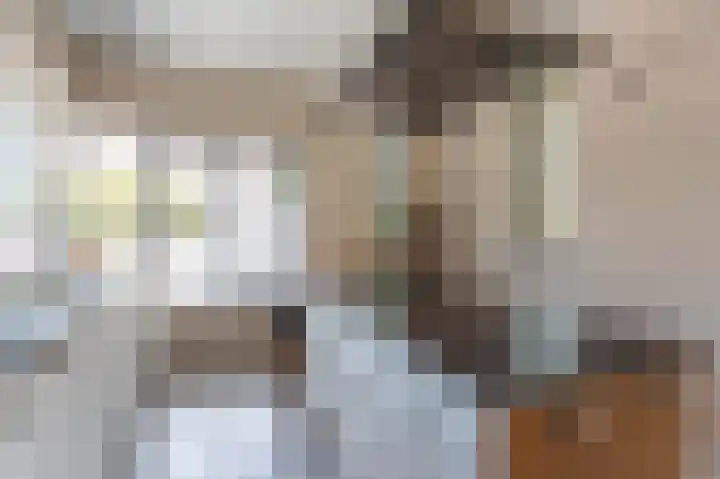 Grasparkiet 16 Eindhoven thumbnail 13