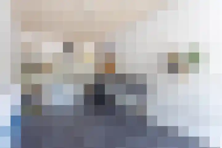 Grasparkiet 16 Eindhoven thumbnail 14
