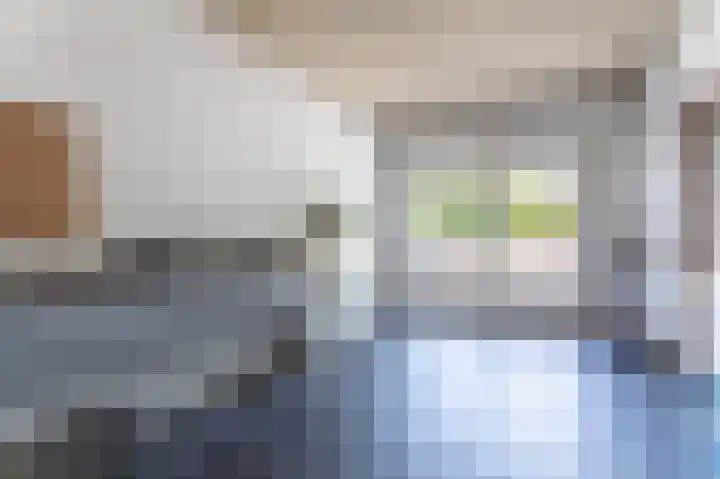 Grasparkiet 16 Eindhoven thumbnail 15