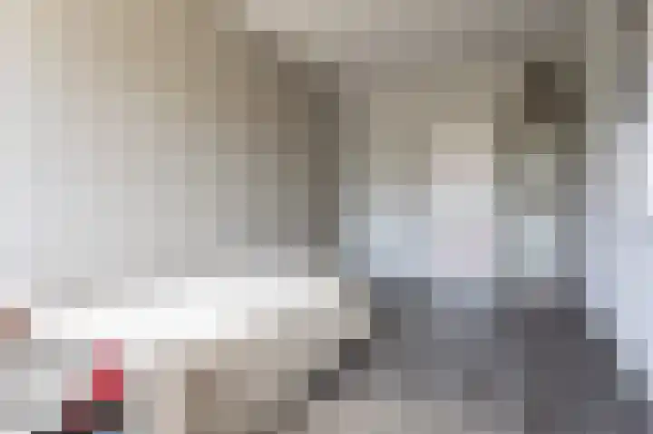 Grasparkiet 16 Eindhoven thumbnail 21
