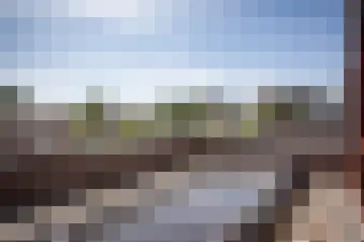 Grasparkiet 16 Eindhoven thumbnail 31