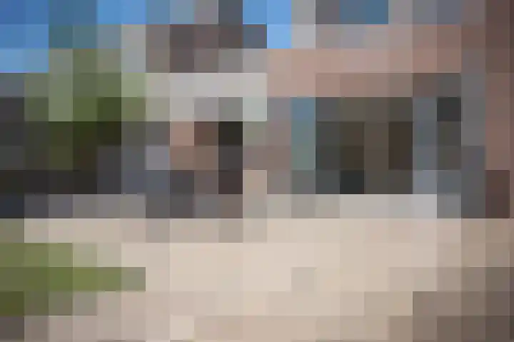 Grasparkiet 16 Eindhoven thumbnail 34