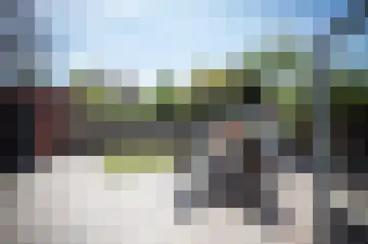Grasparkiet 16 Eindhoven thumbnail 35