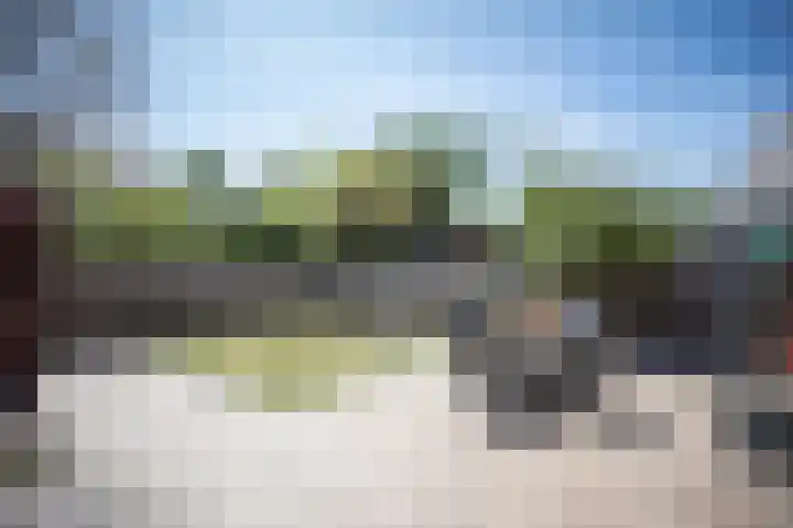 Grasparkiet 16 Eindhoven thumbnail 36
