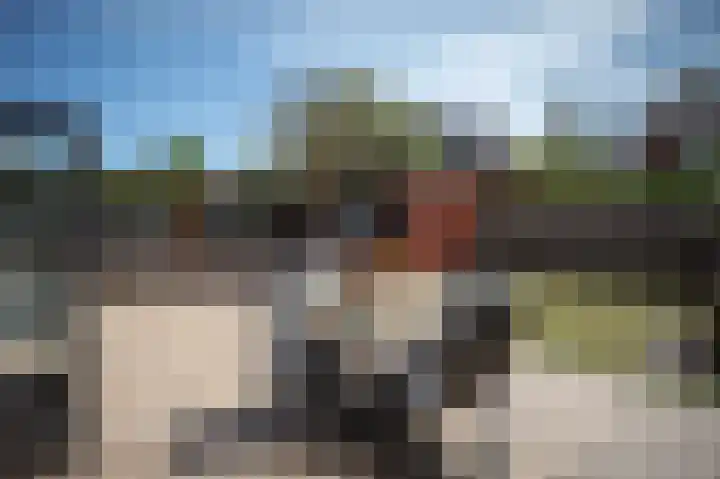 Grasparkiet 16 Eindhoven thumbnail 37