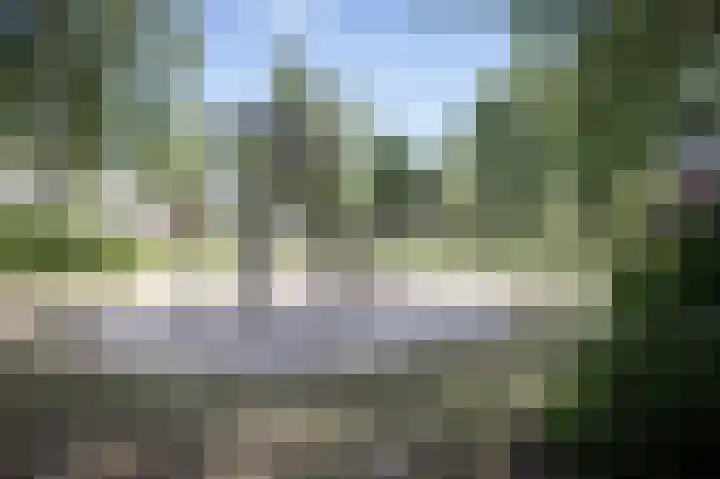 Grasparkiet 16 Eindhoven thumbnail 39
