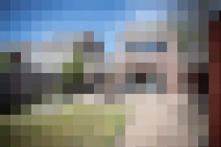 Grasparkiet 16 Eindhoven thumbnail 4