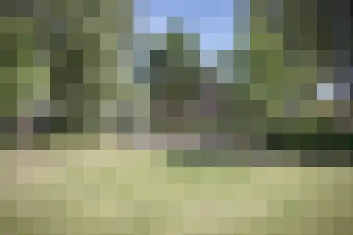 Grasparkiet 16 Eindhoven thumbnail 40