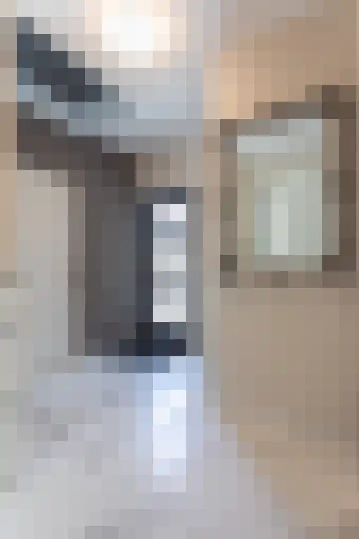 Grasparkiet 16 Eindhoven thumbnail 6