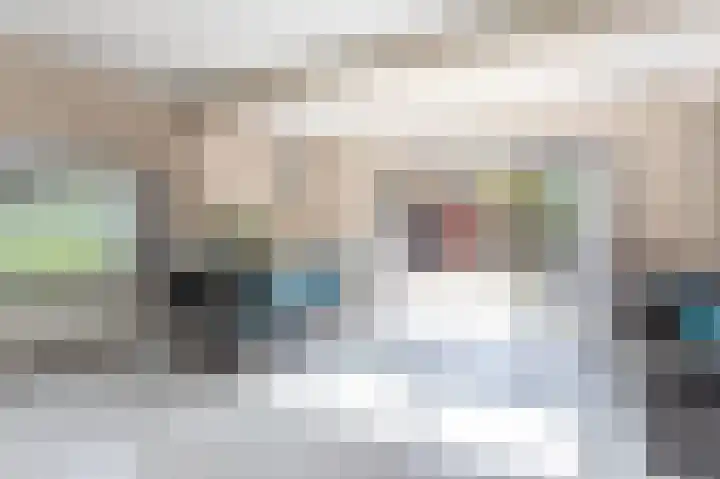 Grasparkiet 16 Eindhoven thumbnail 8