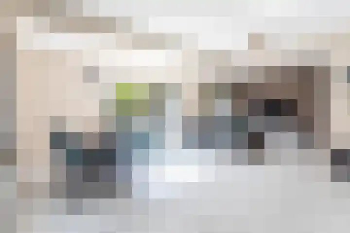 Grasparkiet 16 Eindhoven thumbnail 9