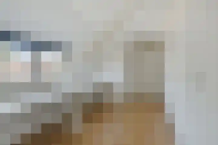 Graspeel 42 Zeeland thumbnail 20