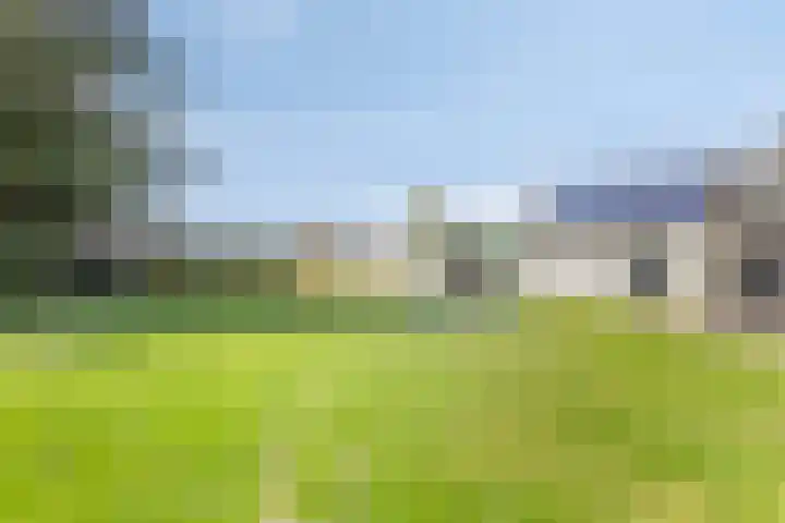 Graspeel 42 Zeeland thumbnail 33