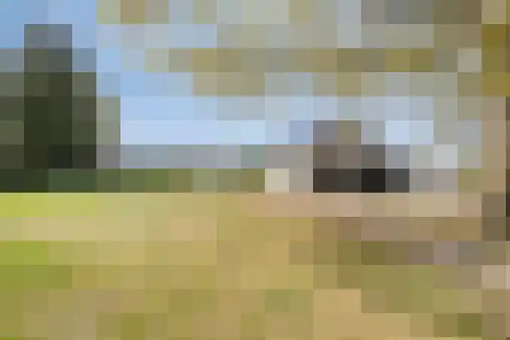 Graspeel 42 Zeeland thumbnail 34