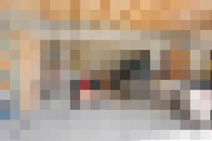 Graspeel 42 Zeeland thumbnail 37