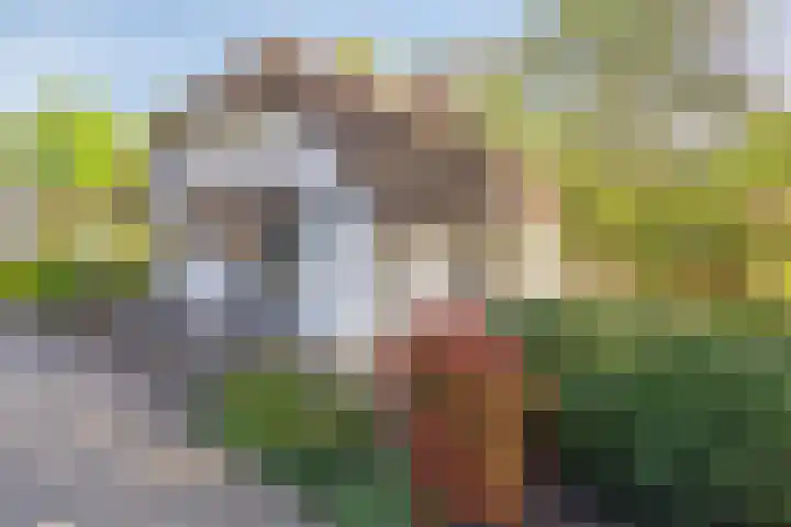 Graspeel 42 Zeeland thumbnail 38