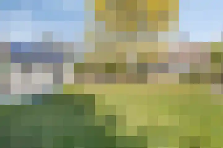 Graspeel 42 Zeeland thumbnail 4