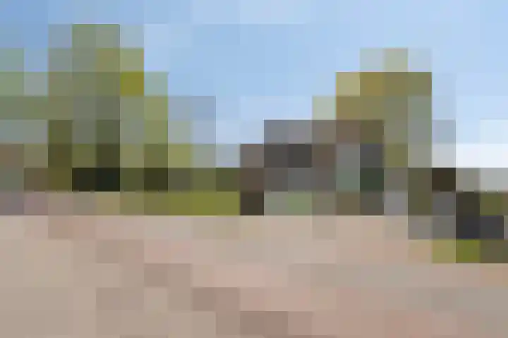 Graspeel 42 Zeeland thumbnail 42