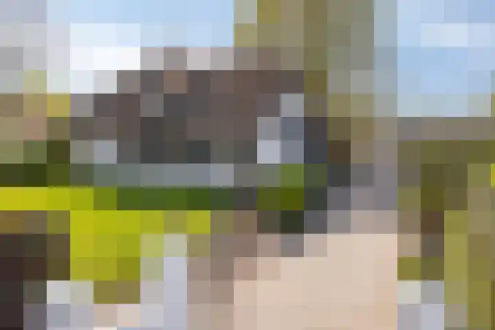 Graspeel 42 Zeeland thumbnail 46