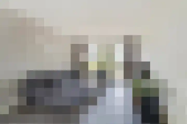 Graspeel 42 Zeeland thumbnail 7