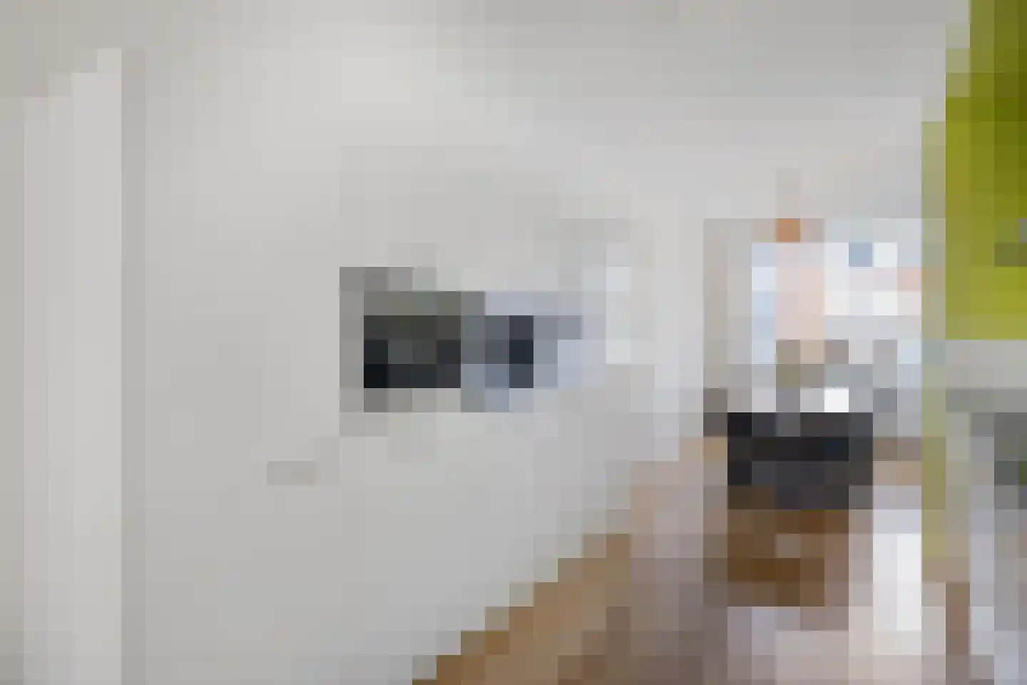 Grasperk 16 Eindhoven thumbnail 10