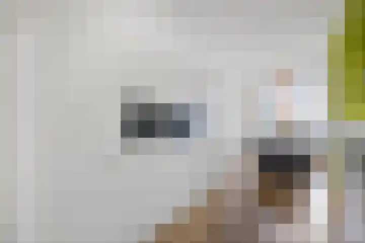 Grasperk 16 Eindhoven thumbnail 10