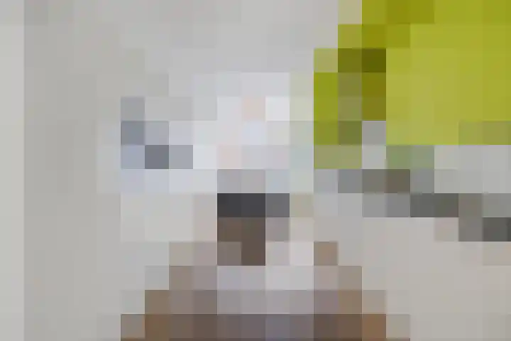 Grasperk 16 Eindhoven thumbnail 11
