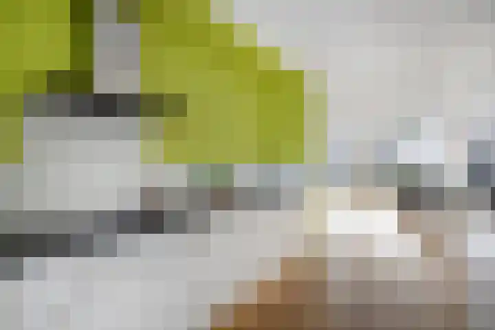 Grasperk 16 Eindhoven thumbnail 12