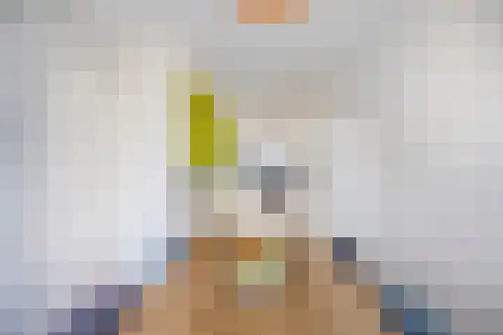 Grasperk 16 Eindhoven thumbnail 14
