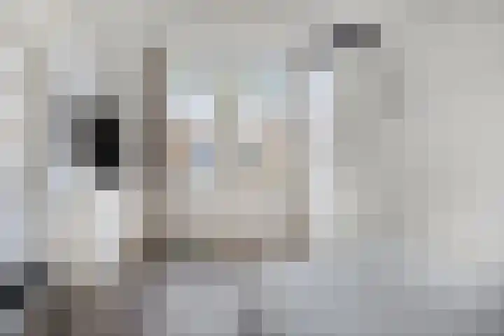 Grasperk 16 Eindhoven thumbnail 31
