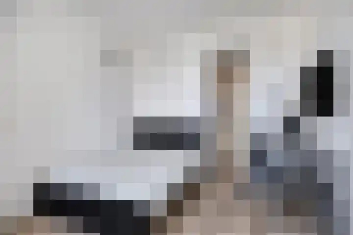 Grasperk 16 Eindhoven thumbnail 32