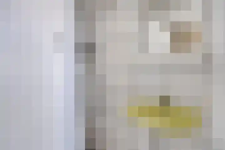 Grasperk 16 Eindhoven thumbnail 34