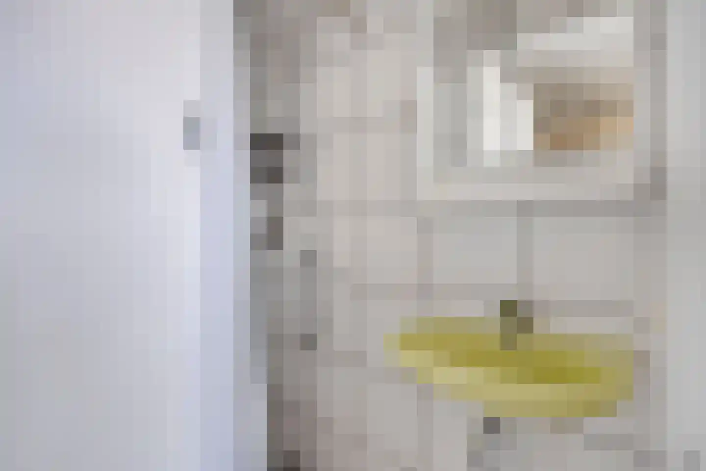 Grasperk 16 Eindhoven thumbnail 34