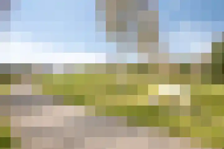 Grasperk 16 Eindhoven thumbnail 37