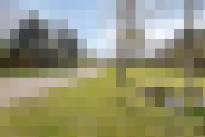 Grasperk 16 Eindhoven thumbnail 38