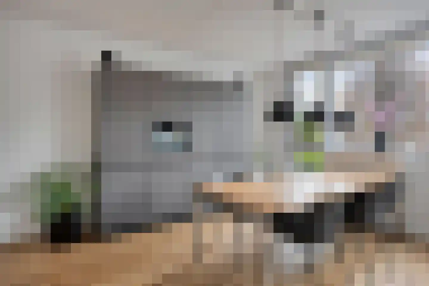 Grasperk 23 Eindhoven thumbnail 14