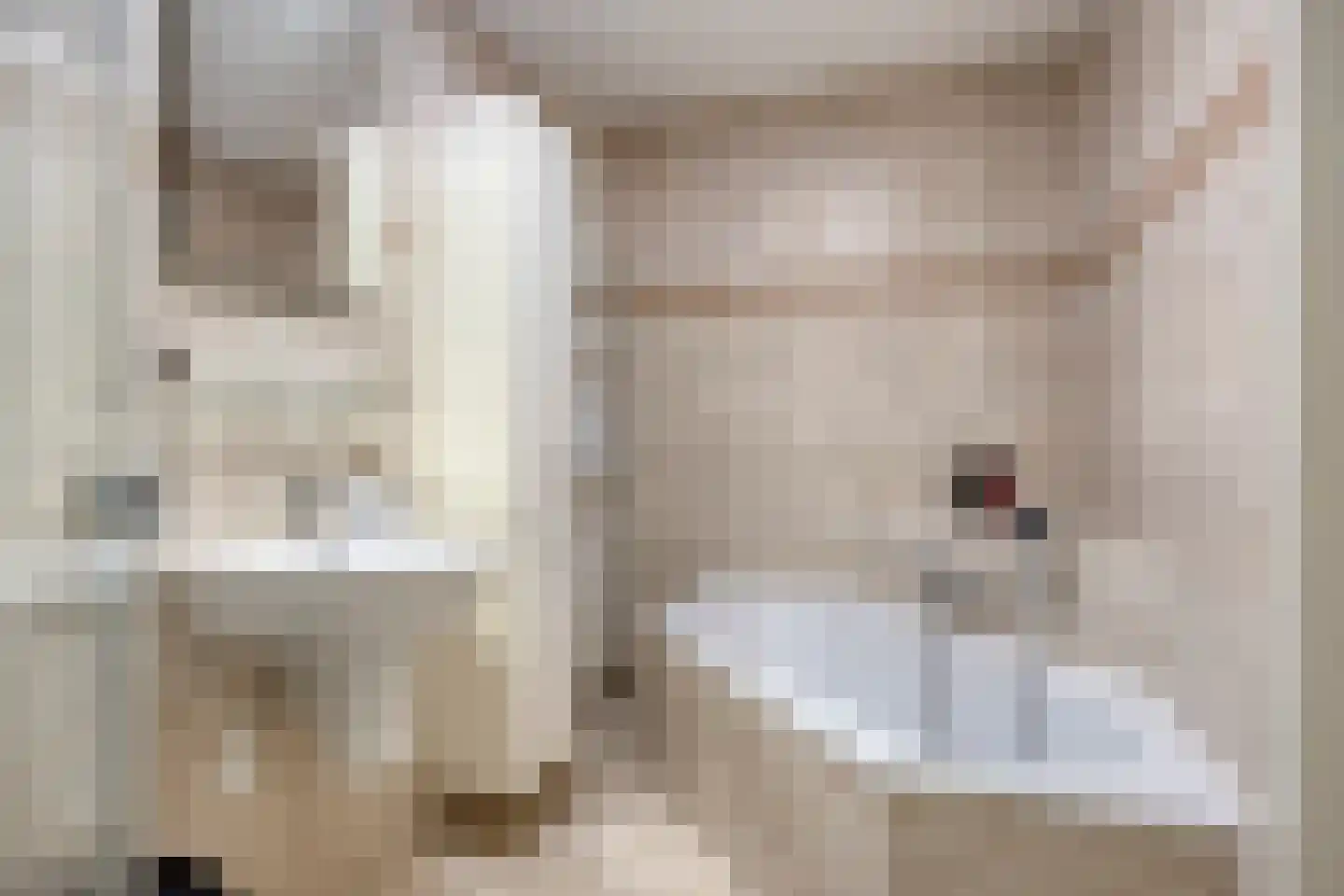 Grasperk 23 Eindhoven thumbnail 19