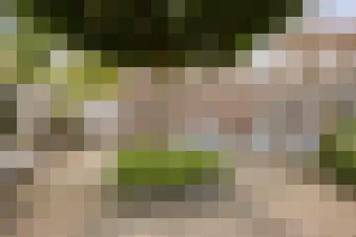 Grasperk 23 Eindhoven thumbnail 27