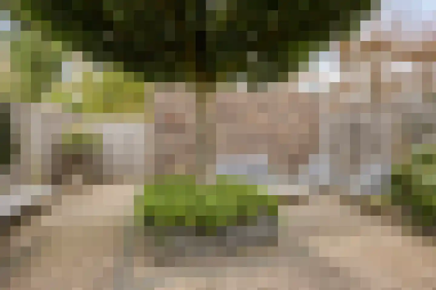 Grasperk 23 Eindhoven thumbnail 27