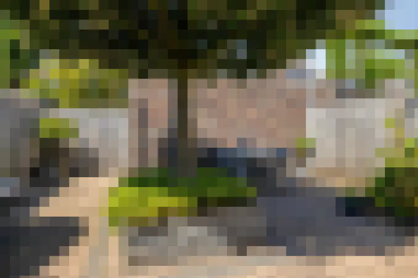 Grasperk 23 Eindhoven thumbnail 27