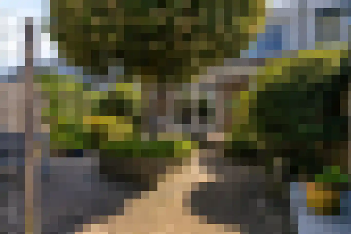 Grasperk 23 Eindhoven thumbnail 28