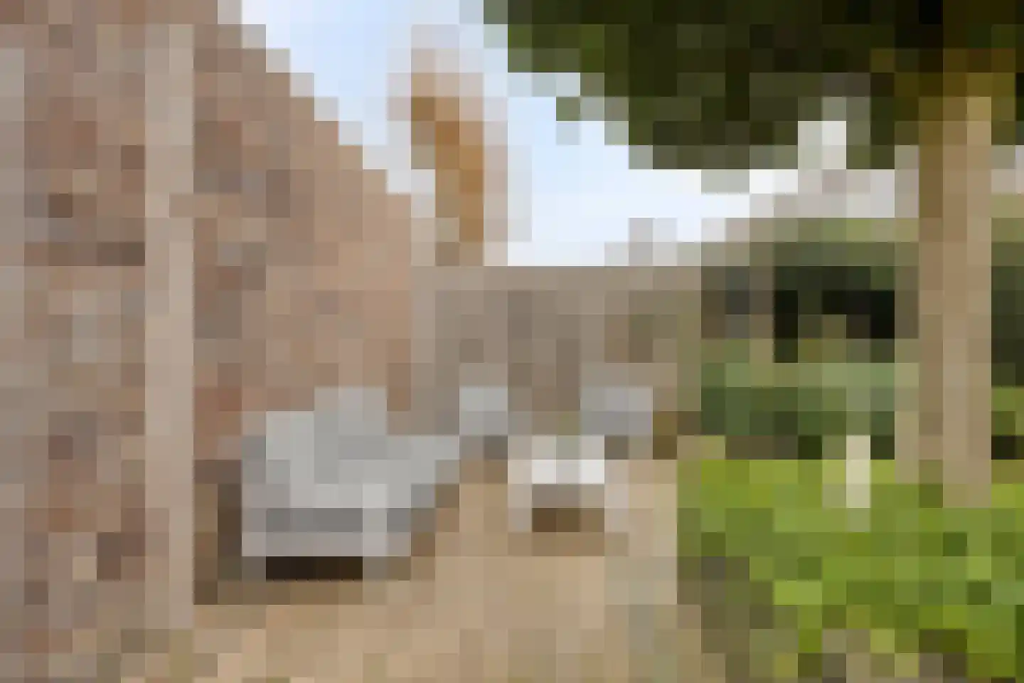 Grasperk 23 Eindhoven thumbnail 28