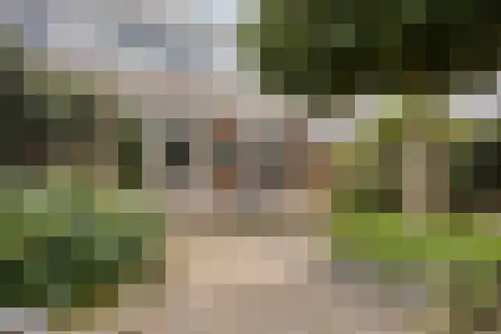 Grasperk 23 Eindhoven thumbnail 29