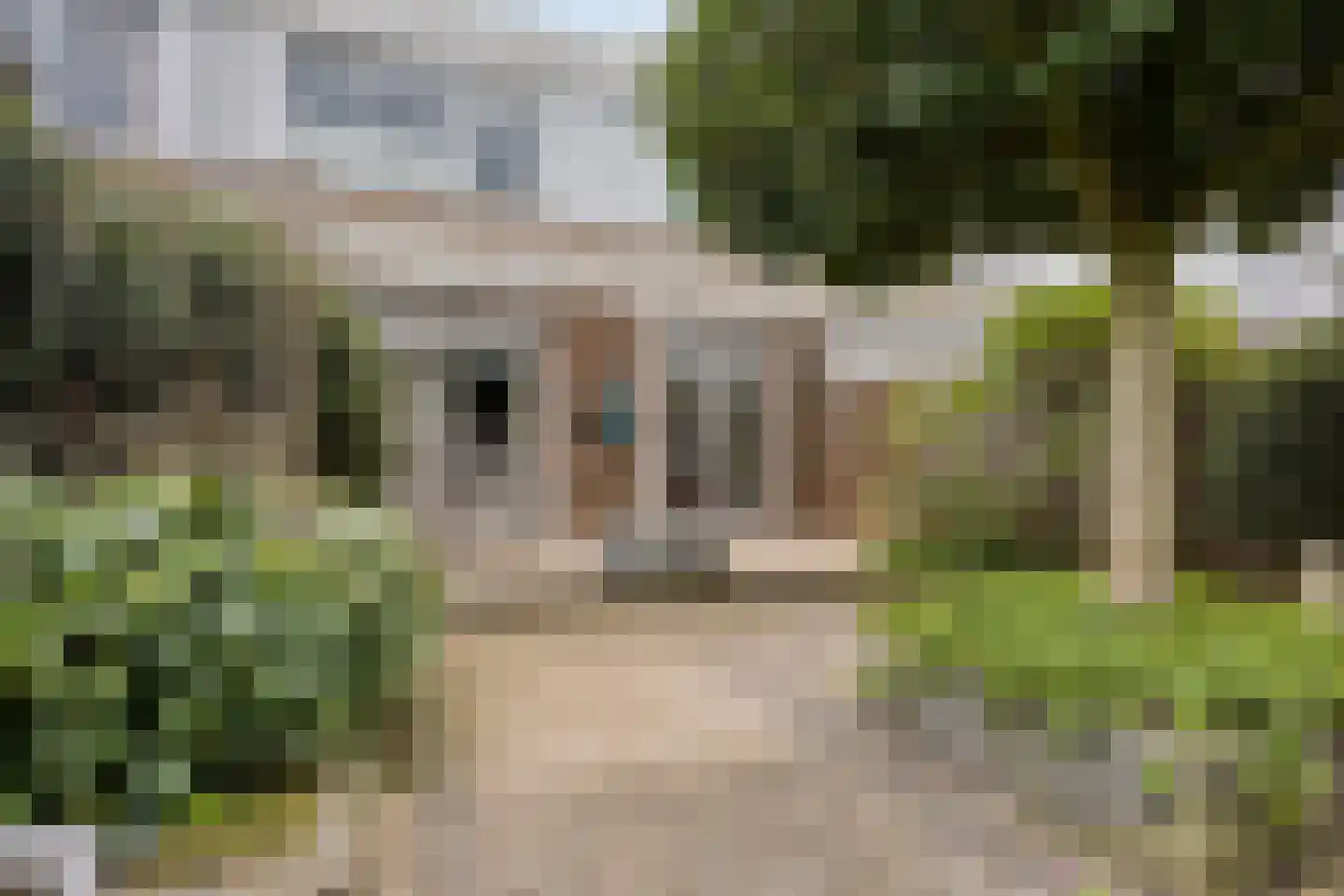 Grasperk 23 Eindhoven thumbnail 4