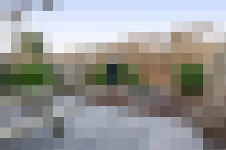 Grasperk 31 Eindhoven thumbnail 40
