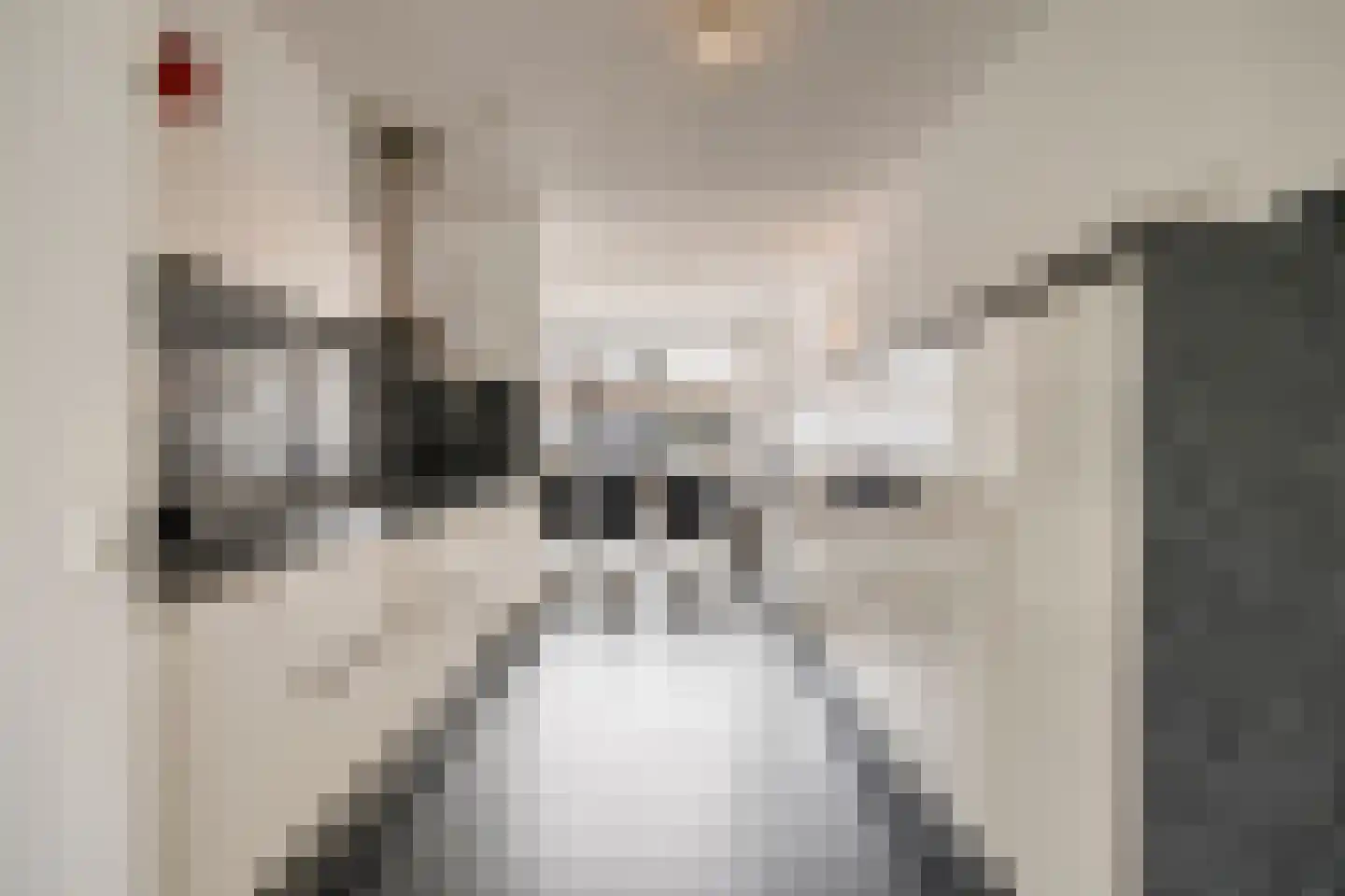 Grasperk 44 Eindhoven thumbnail 10