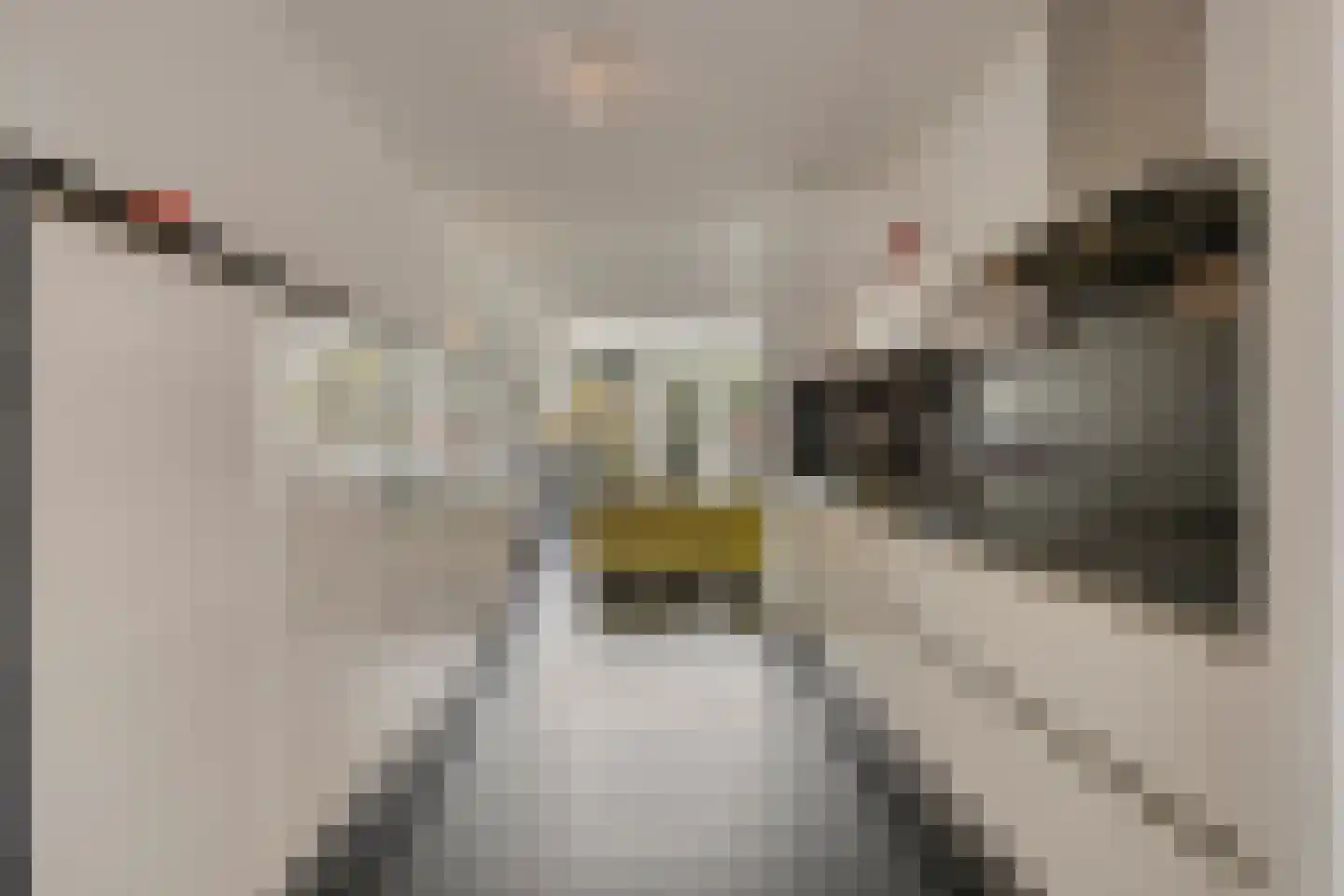 Grasperk 44 Eindhoven thumbnail 12